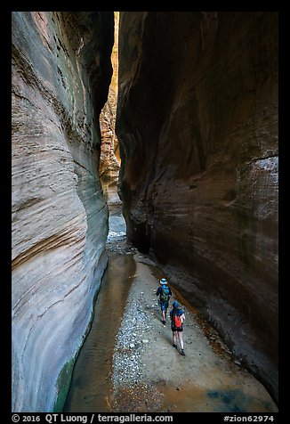 Hikers walk between tall walls, Orderville Canyon. Zion National Park (color)