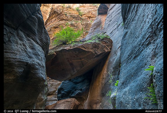 Large jammed boulder, Orderville Canyon. Zion National Park (color)