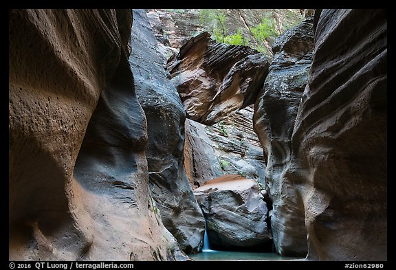 Boulder called Guillotine wedged in Orderville Canyon. Zion National Park (color)