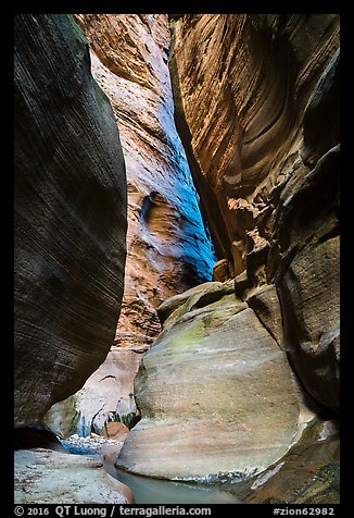 Slot canyon section of Orderville Canyon. Zion National Park (color)