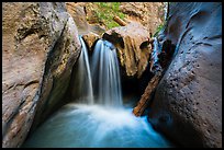 Waterfall and jammed log, Orderville Canyon. Zion National Park ( color)