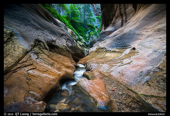 Stream in narrow watercourse, Orderville Canyon. Zion National Park (color)