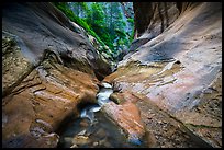 Stream in narrow watercourse, Orderville Canyon. Zion National Park ( color)