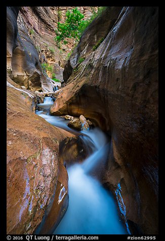 Twisted and narrow watercourse, Orderville Canyon. Zion National Park (color)