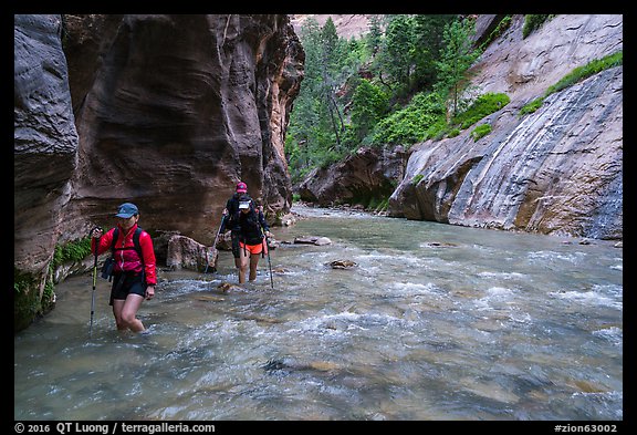Hikers walking in the Virgin River narrows. Zion National Park (color)