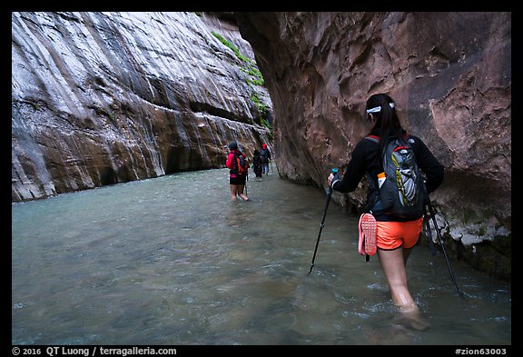 Hikers in Virgin River narrows passage without riverbank. Zion National Park (color)