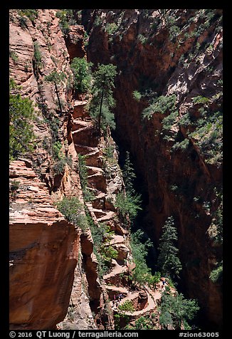 Walters Wiggles. Zion National Park (color)