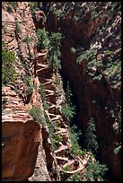 Walters Wiggles. Zion National Park ( color)