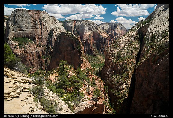 Great White Throne, Angels Landing, and Walters Wiggles. Zion National Park (color)