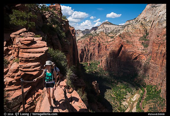 Hiker holds onto chain, Angels Landing. Zion National Park (color)