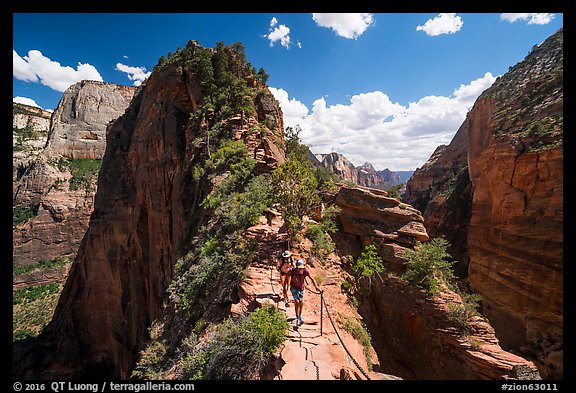 Hikers on narrow spine of Angels Landing. Zion National Park (color)