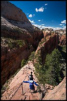 Hikers using chains and steps to descend Angels Landing. Zion National Park ( color)