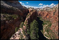 Hikers descend vertiginous spine of Angels Landing. Zion National Park ( color)