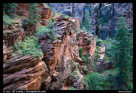 Refrigerator Canyon. Zion National Park (color)