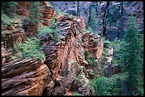 Refrigerator Canyon. Zion National Park ( color)
