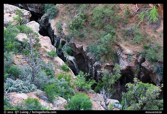 Pine Creek Canyon from above. Zion National Park (color)