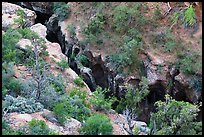 Pine Creek Canyon from above. Zion National Park ( color)