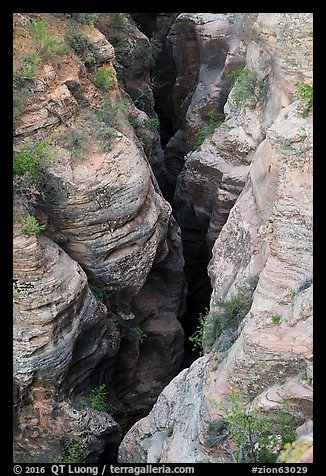 Slot of Pine Creek Canyon from above. Zion National Park (color)