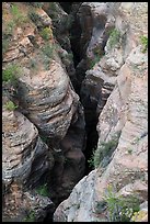 Slot of Pine Creek Canyon from above. Zion National Park ( color)