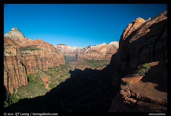Shadow and canyon from Canyon Overlook. Zion National Park (color)