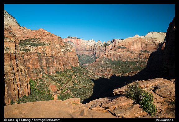 Tall sandstone cliffs from Canyon Overlook. Zion National Park (color)