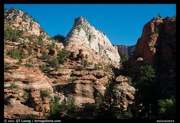 Deertrap Mountain. Zion National Park (color)