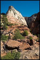 Deertrap Mountain, early morning. Zion National Park ( color)