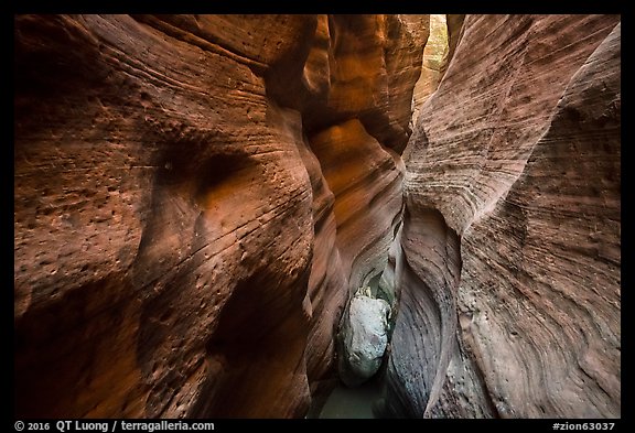 Red walls of Keyhole Canyon and white chockstone. Zion National Park (color)