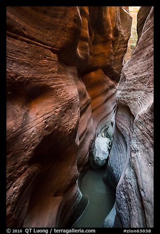 Red Keyhole Canyon walls and white stone. Zion National Park (color)