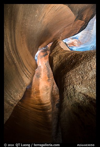 Looking up Keyhole Canyon. Zion National Park (color)