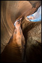Looking up Keyhole Canyon. Zion National Park ( color)