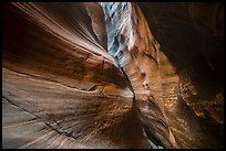 Slanted slot walls, Keyhole Canyon. Zion National Park ( color)