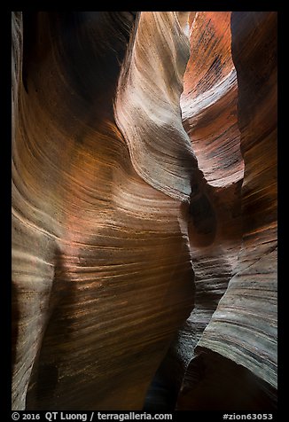 Sculptural walls, Keyhole Canyon. Zion National Park (color)