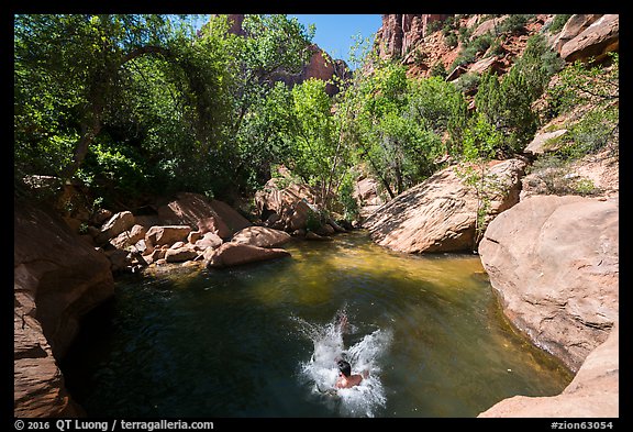 Swimming hole, Pine Creek. Zion National Park (color)