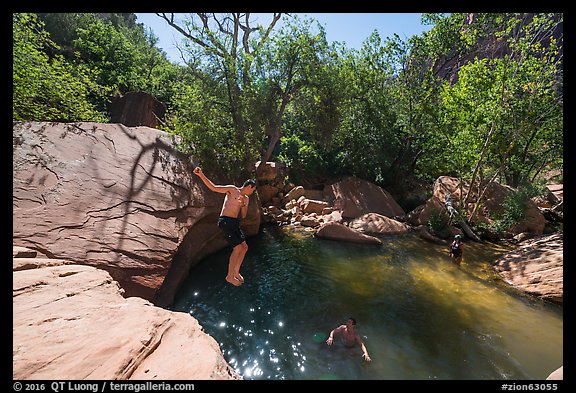 Man jumping into water, Pine Creek. Zion National Park (color)