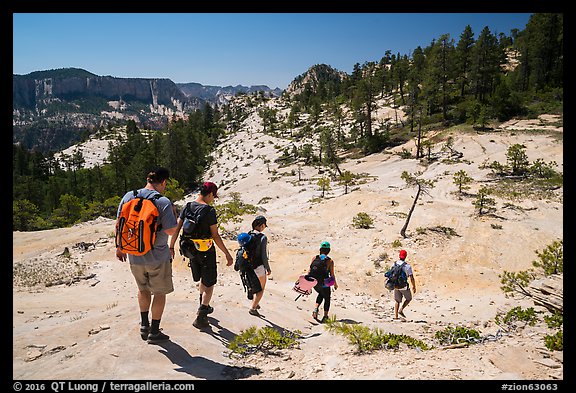 Hikers on slabs in Russell Gulch. Zion National Park (color)