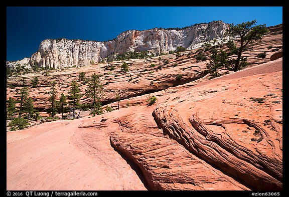 Slickrock and cliffs, Russell Gulch. Zion National Park (color)