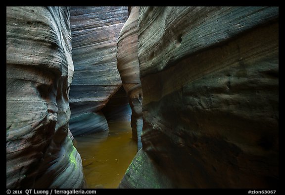Greenish rock walls, Upper Left Fork. Zion National Park (color)