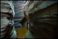 Greenish rock walls, Upper Left Fork. Zion National Park ( color)