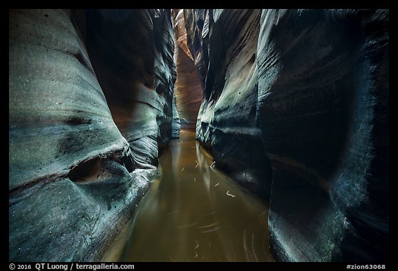 Narrow squeeze, Das Boot Canyon. Zion National Park (color)