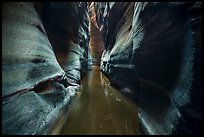 Narrow squeeze, Das Boot Canyon. Zion National Park ( color)