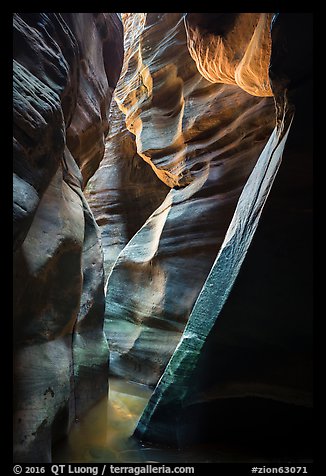 Tight and sculptured section of Upper Left Fork slot canyon. Zion National Park (color)