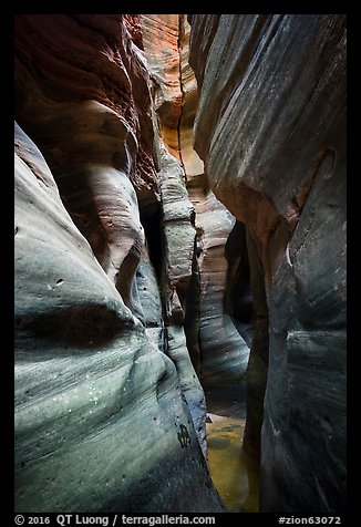 Tight squeeze, Upper Left Fork (Das Boot). Zion National Park (color)