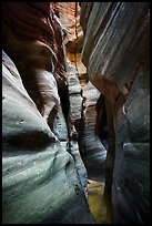 Tight squeeze, Upper Left Fork (Das Boot). Zion National Park ( color)