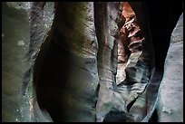 Tight slot canyon, Upper Left Fork (Das Boot). Zion National Park ( color)