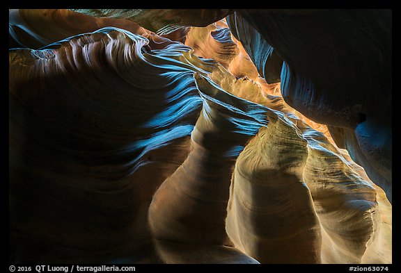 Looking up slot canyon, Upper Left Fork (Das Boot). Zion National Park (color)