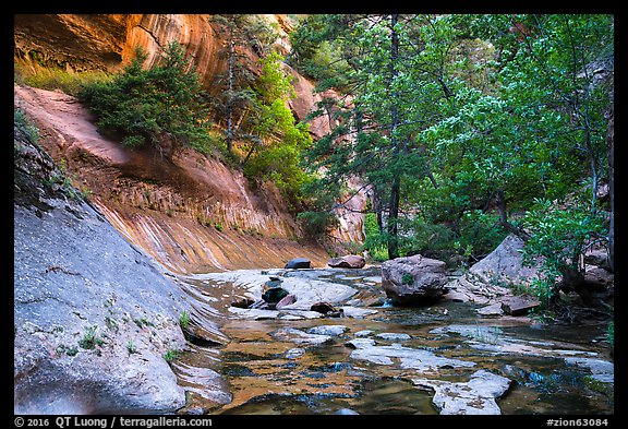 Lush oasis along Left Fork. Zion National Park (color)