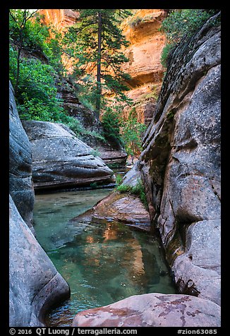 Emerald pools along Left Fork. Zion National Park (color)