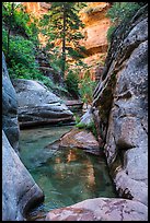 Emerald pools along Left Fork. Zion National Park ( color)