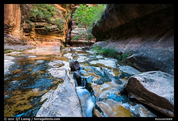 Stream funelling in tight watercourse, Left Fork. Zion National Park (color)